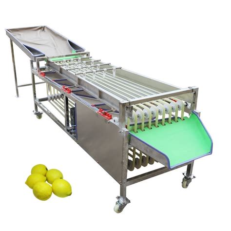 fruit sorting machine|custom sorting machine.